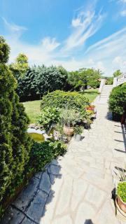 Dimis Garden Villa - Néa Michanióna - 7