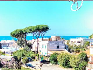 Anzio Paradise - Anzio - 9