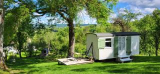 Petit a Petit - gypsy wagons and Bell tents in the Bourgogne - Saisy - 9