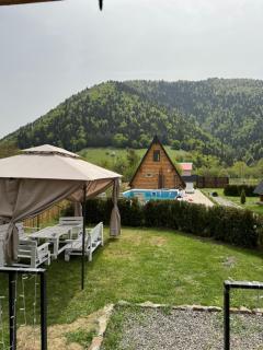 Eco cottage in Borjomi with pool 1 - Sadgeri - 3