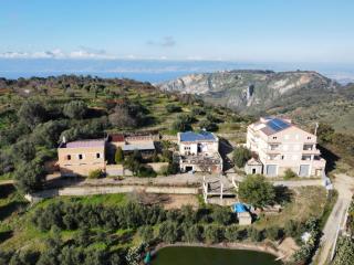 Agriturismo Sant'Anna Ortì in oliveta biologica con vista sullo Stretto di Messina - Orti - 7