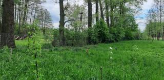 Eko Panorama Okolice Nałęczów -  - 7