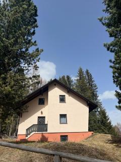 Almhaus Murtal Zirbenland - Obdach - 8