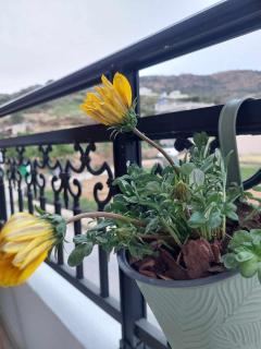 Boho Zen Retreat - Agia Pelagia - 3