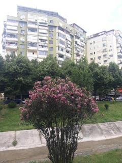 Dani's Apartment - Tirana - 8
