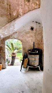 Portico 30 - Modern apartment in old farmhouse - Procida - 3