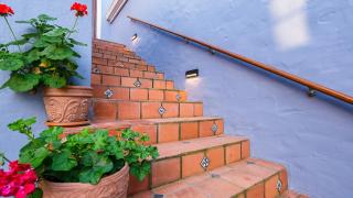 Frida On The Beach - Wilderness - 2