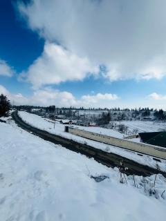 The Cherry Woods - Tangmarg - 4