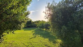 Apartman Doli - 2