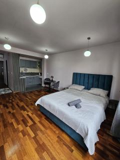 Central sweet apartment self check-in - Timişoara - 9