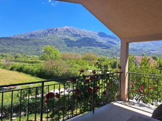 Apartmani EMMA - Kotor (Cattaro) - 8