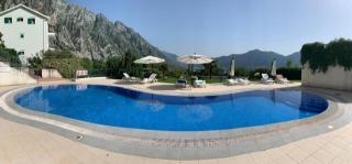 Green Village sea view apartment - Kotor (Cattaro) - 6