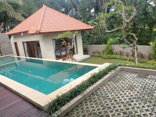 Ubud Dream House Villa - Ubud - 2