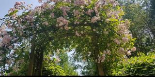 Tara vegetarian retreat guesthouse - Carmarthen - 4