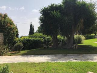Villa Alexandros - Porto Heli - 7