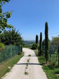 Casa Tartufo e Mare - Isola di Fano - 8