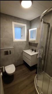 Downtown Reykjavík, renovated apartment - 3