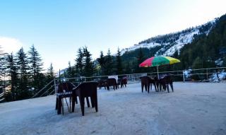 Gulmarg Height Homestay, Kufri-HP - 2