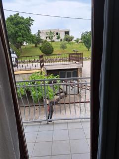 Apartman Ljubica - Podstrana - 6