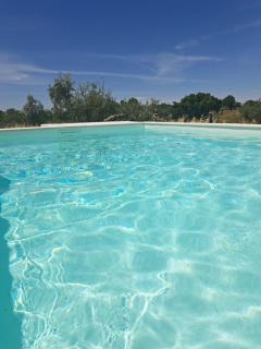 Monte do Rochinha - 3