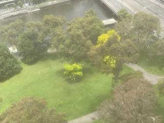 Spectecular VIEW Yarra River Crown Complex MCEC - Melbourne - 1