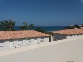 Appart T3 vue Mer/Montagne pieds dans l'eau N115 - Linguizzetta - 1