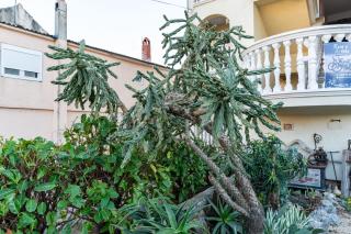 Vila Šima - Pakoštane - 1