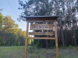 Dębowe dawna leśniczówka - - 4