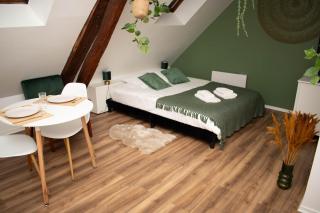 Le Nid Douillet - Hypercentre - Studio - 9