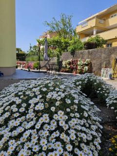 Villa Fantasea - Opric - 7