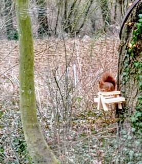 Studio neuf et cosy dans un écrin de nature - 8