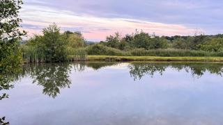 Bransford Farm Fishery & B & B - 5