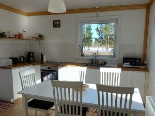 House with lake view swedish lapland - 4