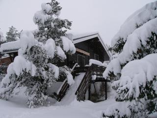 Chalet la Moucherolle - 3