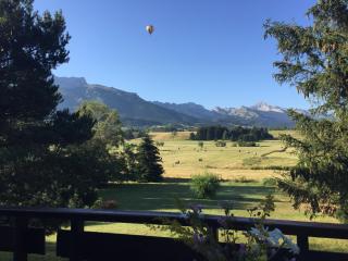 Chalet la Moucherolle - Lans-en-Vercors - 0