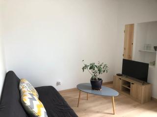 Studio avec terrasse privative de 20 m carré - Bénéjacq - 0
