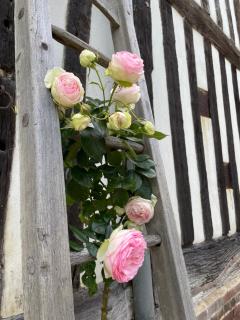 Le Douet Fleury - Chambre d'Hôtes et Gîtes - 5