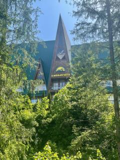 Апарт-готель Синьогора - 7