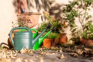 Gästehaus Geiseltalsee - 6