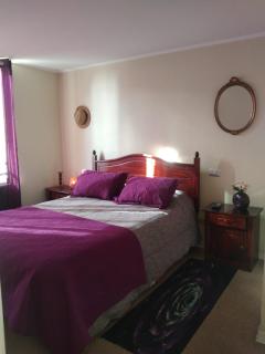 Arriendo Departamento a Turistas en Santiago - Santiago - 5