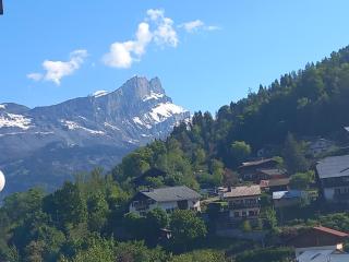 Joli studio à St Gervais les bains - Saint-Gervais-les-Bains - 6