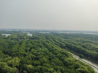 Apartment gold coast Pik - Jakarta - 6