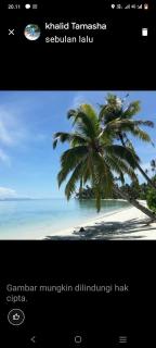 Tamasha tour banyak islands - Alaban - 9