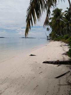 Tamasha tour banyak islands - Alaban - 8