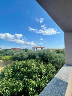 Apartmani Maja Vrsi - Vrsi - 3