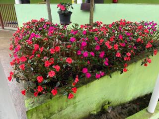 Pesqueiro Restaurante e Pousada Pingo de Ouro - 7