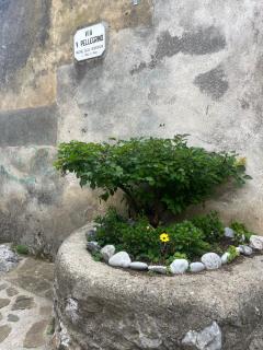A Finistella - Camerota - 6