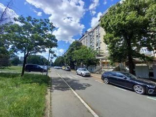 Under the Tree - Novi Beograd - 4