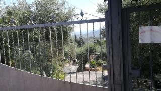 La casa tra gli ulivi di Fonte Nuova 2 - Mentana - 8