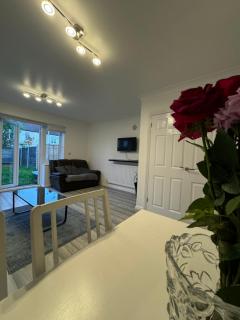 Spacious 3 bedroom Home, with private driveway 5 minutes from Excel Centre & Custom House - Londra - 7